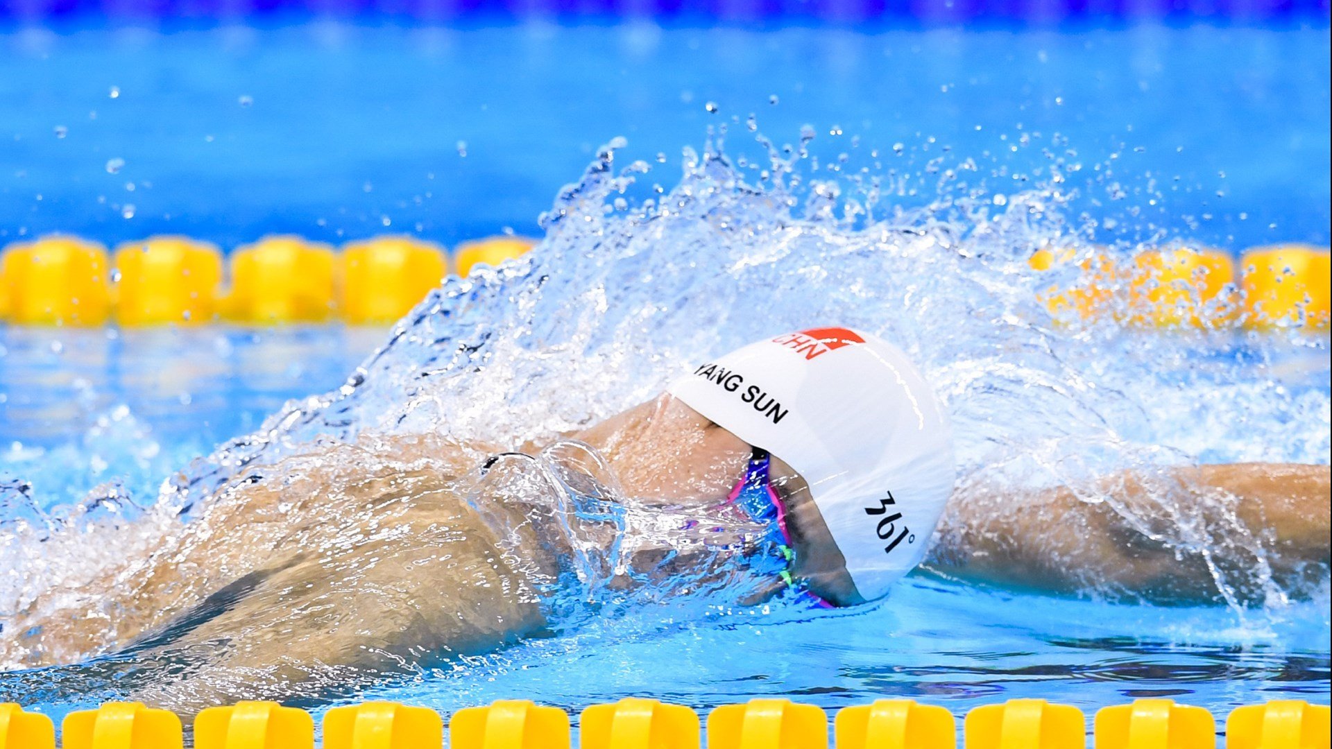 巴西骑手安娜·卡塔琳娜在巴黎奥运会障碍赛中获得铜牌，表现出色。